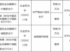 农发行两家支行合计被罚62万元：未严格执行受托支付、违规提供担保