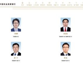 农发行管理层变动 金融监管总局人教司司长丁晓芳履新农发行党委副书记