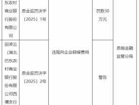 湖北巴东农村商业银行被罚30万元：因违规向企业转嫁费用