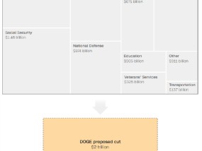DOGE注意：联邦政府是如何花费美国人的税款