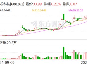 国芯科技：国家集成电路产业投资基金等股东拟减持不超3%股份