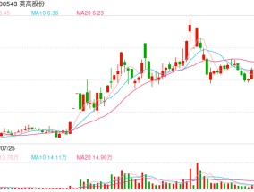 莫高股份收到上交所监管工作函