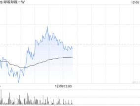 哔哩哔哩-W12月5日斥资约300万美元回购15.51万股