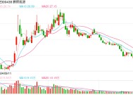 鹏辉能源：2024年预计净亏损1.65亿元—2.32亿元，同比盈转亏