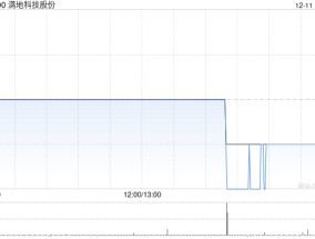 满地科技股份：黄梅物业遭强制出售用于清偿贷款