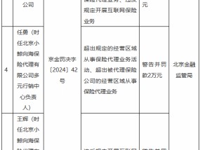 北京小鲸向海保险代理被罚4万余元：超出规定的经营区域从事保险代理业务活动等