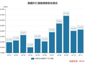 11月末我国外汇储备规模上升48亿美元 4月以来央行首次增持黄金