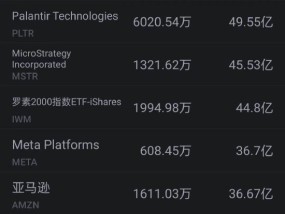 12月26日美股成交额前20：英伟达成今年美股最受散户欢迎的股票