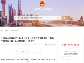 超级赛道再迎政策利好！上海发布《发展医学人工智能工作方案》