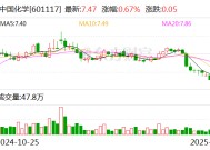 中国化学：2024年合同金额3669.4亿元