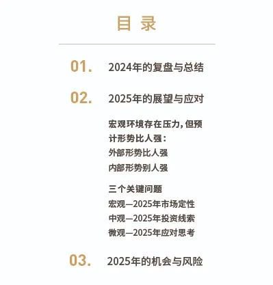 清和泉年度策略|2025发展重回优先：形势比人强